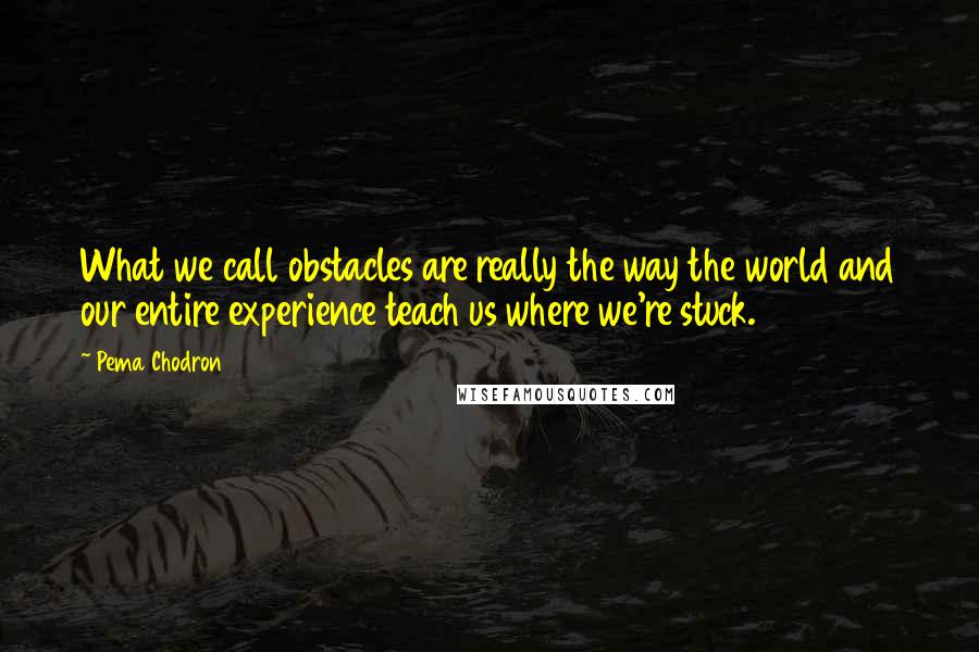 Pema Chodron Quotes: What we call obstacles are really the way the world and our entire experience teach us where we're stuck.