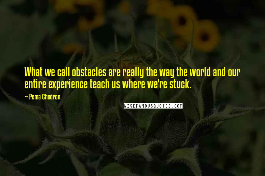 Pema Chodron Quotes: What we call obstacles are really the way the world and our entire experience teach us where we're stuck.