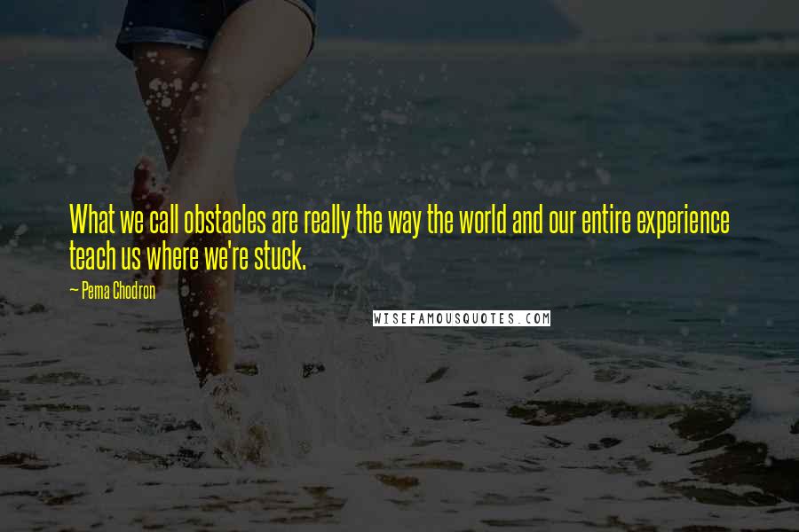 Pema Chodron Quotes: What we call obstacles are really the way the world and our entire experience teach us where we're stuck.