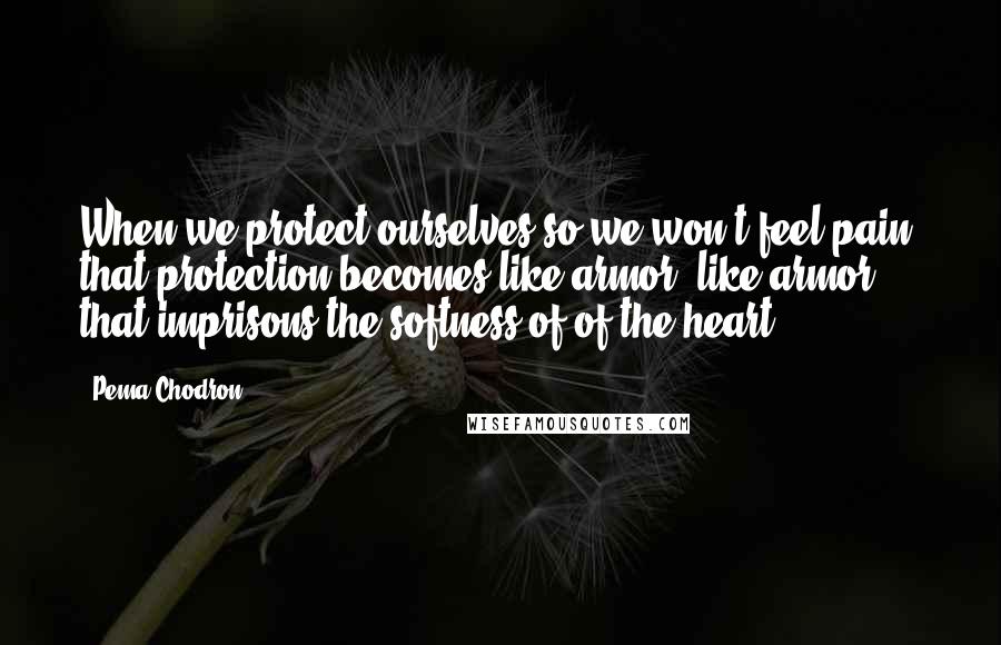 Pema Chodron Quotes: When we protect ourselves so we won't feel pain, that protection becomes like armor, like armor that imprisons the softness of of the heart.