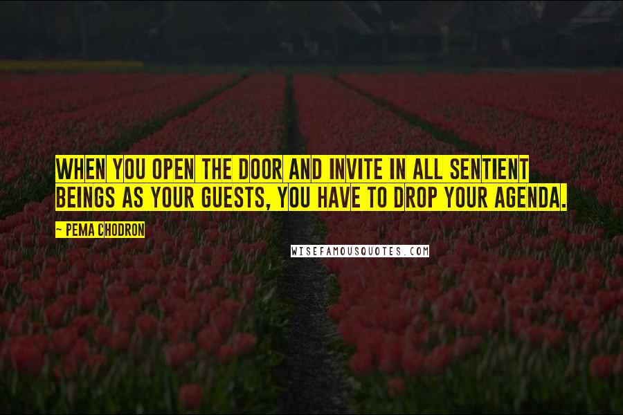 Pema Chodron Quotes: When you open the door and invite in all sentient beings as your guests, you have to drop your agenda.