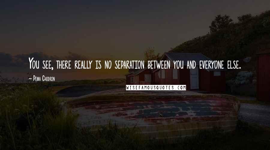 Pema Chodron Quotes: You see, there really is no separation between you and everyone else.