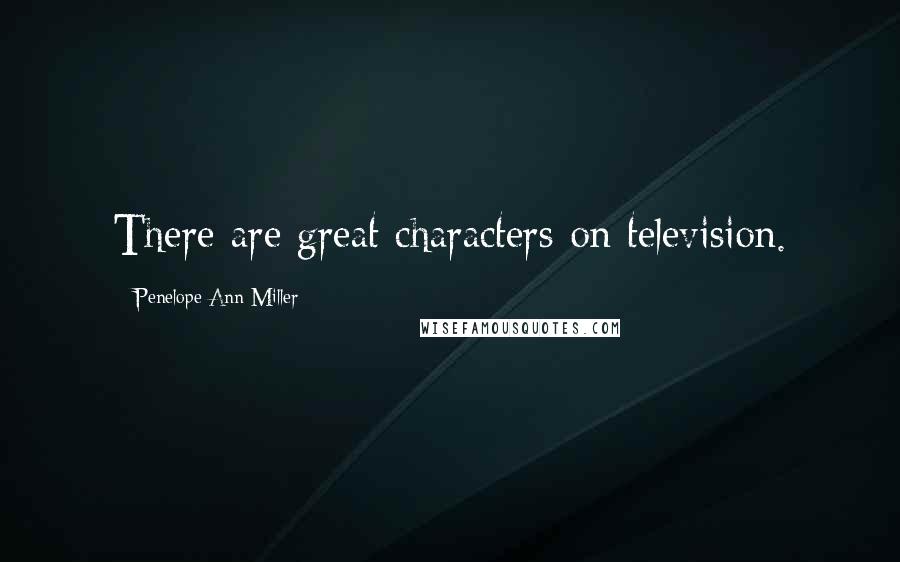 Penelope Ann Miller Quotes: There are great characters on television.
