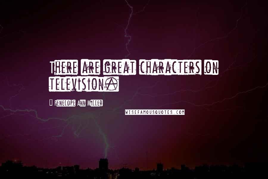 Penelope Ann Miller Quotes: There are great characters on television.