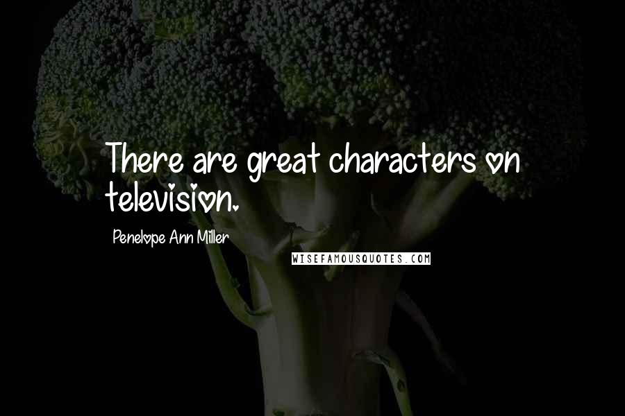 Penelope Ann Miller Quotes: There are great characters on television.