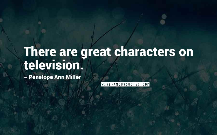 Penelope Ann Miller Quotes: There are great characters on television.