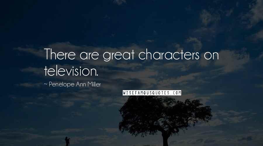 Penelope Ann Miller Quotes: There are great characters on television.