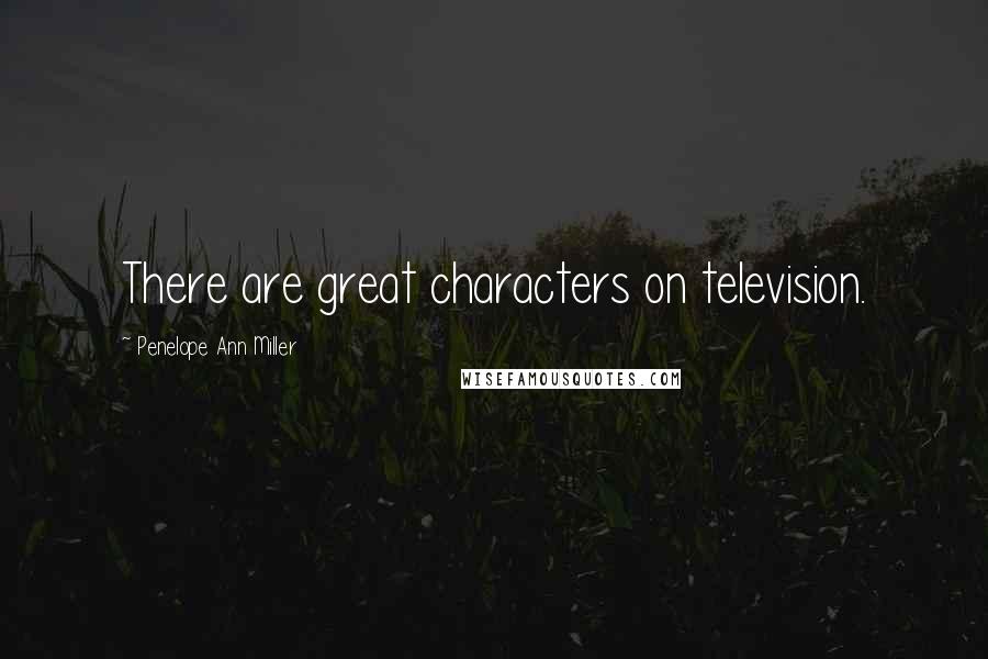 Penelope Ann Miller Quotes: There are great characters on television.