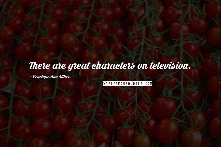 Penelope Ann Miller Quotes: There are great characters on television.