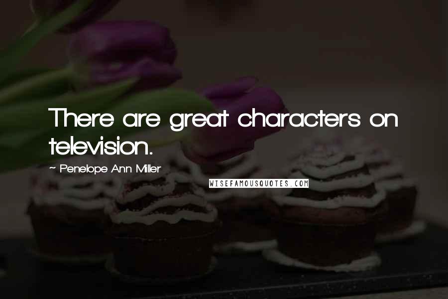 Penelope Ann Miller Quotes: There are great characters on television.