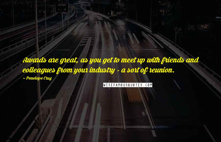 Penelope Cruz Quotes: Awards are great, as you get to meet up with friends and colleagues from your industry - a sort of reunion.