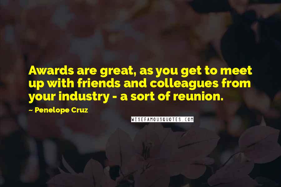 Penelope Cruz Quotes: Awards are great, as you get to meet up with friends and colleagues from your industry - a sort of reunion.