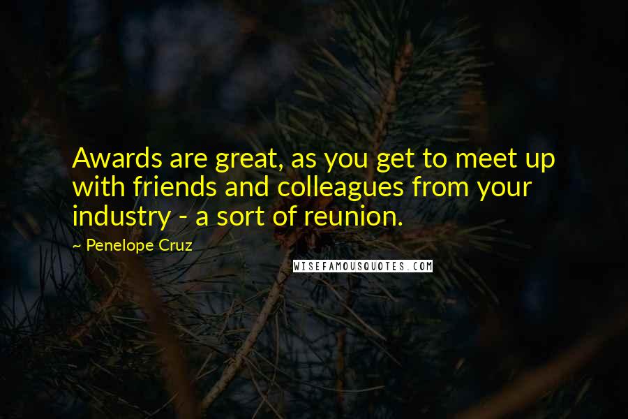 Penelope Cruz Quotes: Awards are great, as you get to meet up with friends and colleagues from your industry - a sort of reunion.