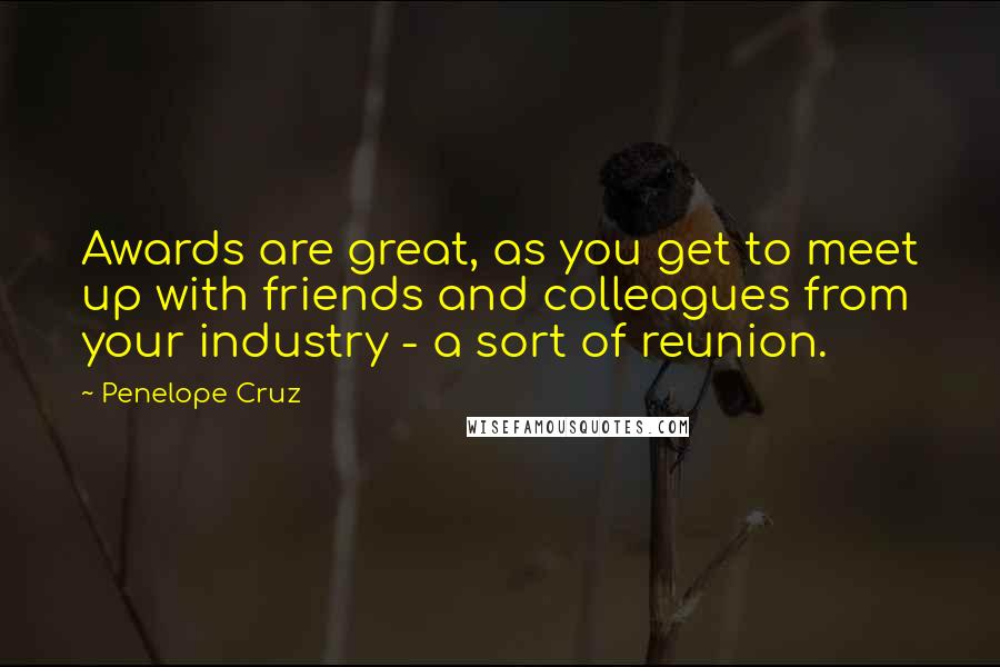 Penelope Cruz Quotes: Awards are great, as you get to meet up with friends and colleagues from your industry - a sort of reunion.