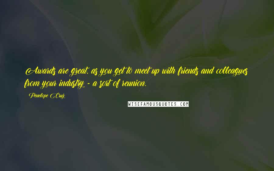 Penelope Cruz Quotes: Awards are great, as you get to meet up with friends and colleagues from your industry - a sort of reunion.