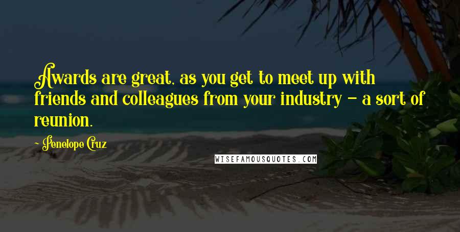 Penelope Cruz Quotes: Awards are great, as you get to meet up with friends and colleagues from your industry - a sort of reunion.