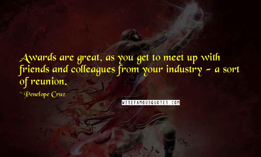 Penelope Cruz Quotes: Awards are great, as you get to meet up with friends and colleagues from your industry - a sort of reunion.