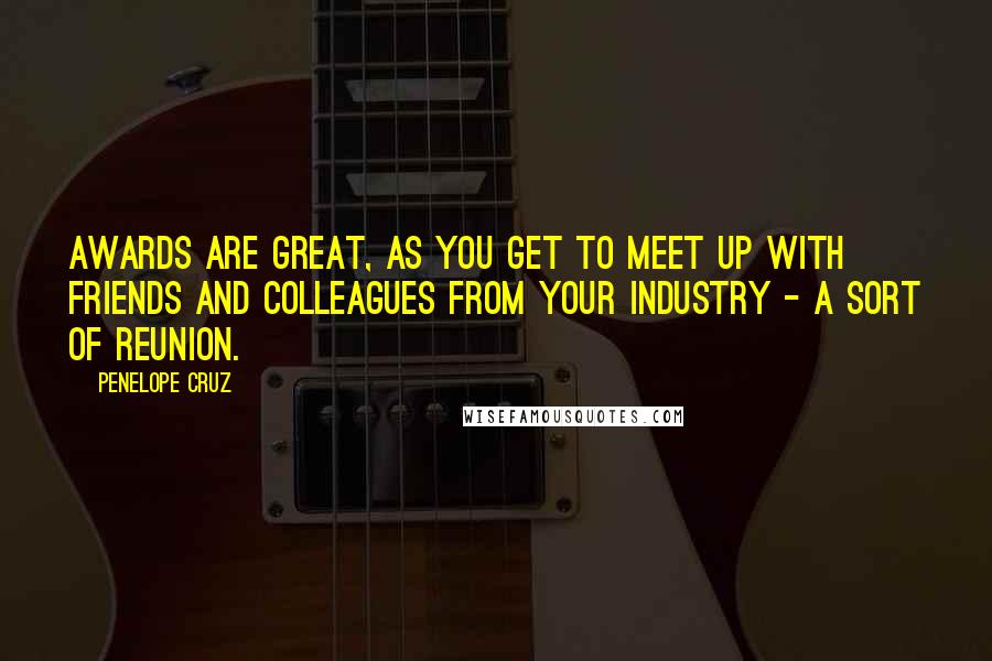 Penelope Cruz Quotes: Awards are great, as you get to meet up with friends and colleagues from your industry - a sort of reunion.