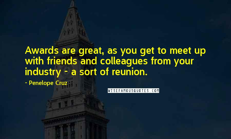 Penelope Cruz Quotes: Awards are great, as you get to meet up with friends and colleagues from your industry - a sort of reunion.