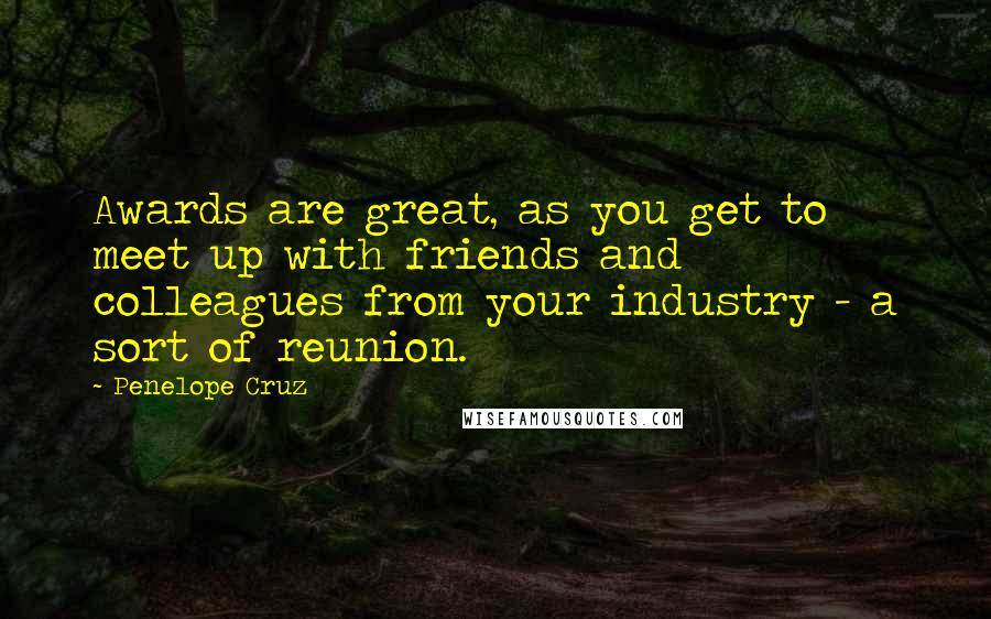 Penelope Cruz Quotes: Awards are great, as you get to meet up with friends and colleagues from your industry - a sort of reunion.