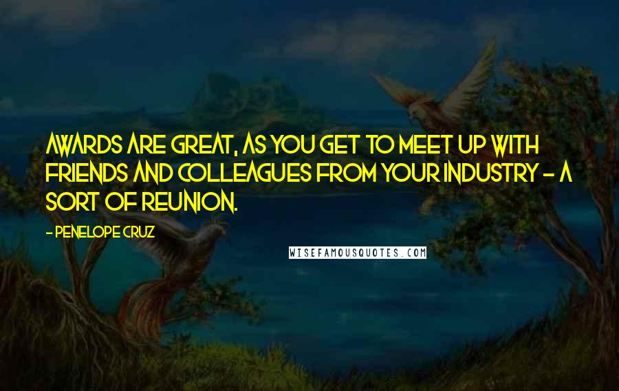 Penelope Cruz Quotes: Awards are great, as you get to meet up with friends and colleagues from your industry - a sort of reunion.