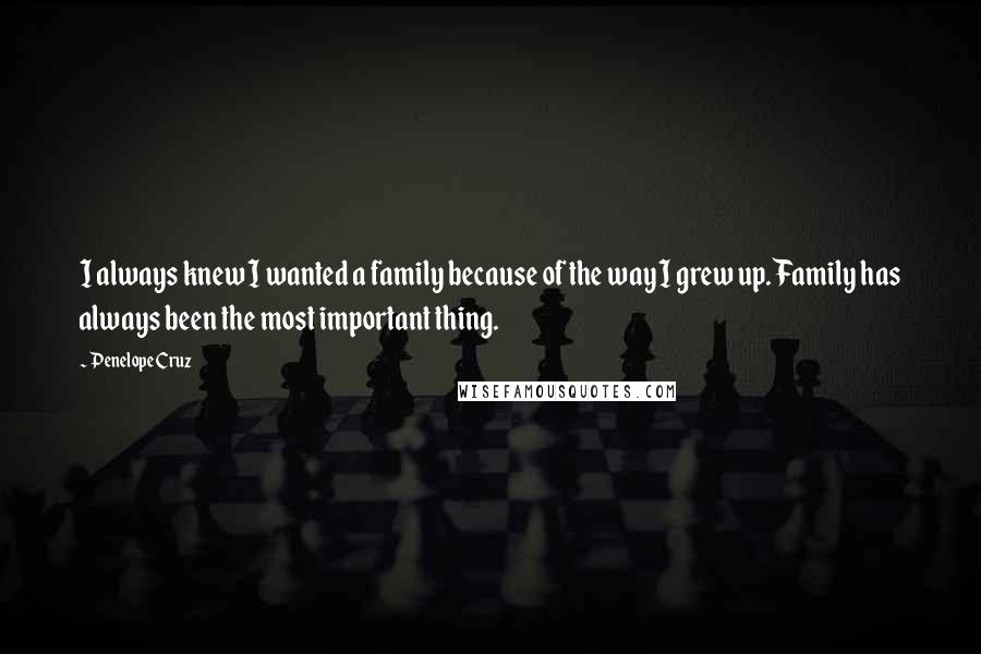Penelope Cruz Quotes: I always knew I wanted a family because of the way I grew up. Family has always been the most important thing.