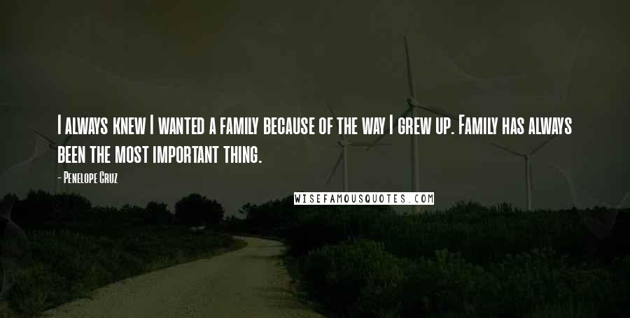 Penelope Cruz Quotes: I always knew I wanted a family because of the way I grew up. Family has always been the most important thing.