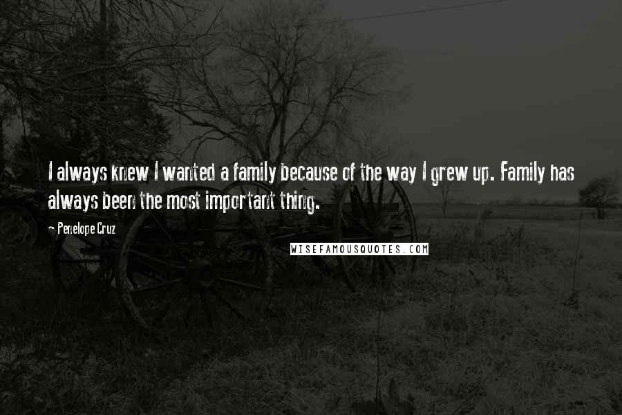Penelope Cruz Quotes: I always knew I wanted a family because of the way I grew up. Family has always been the most important thing.