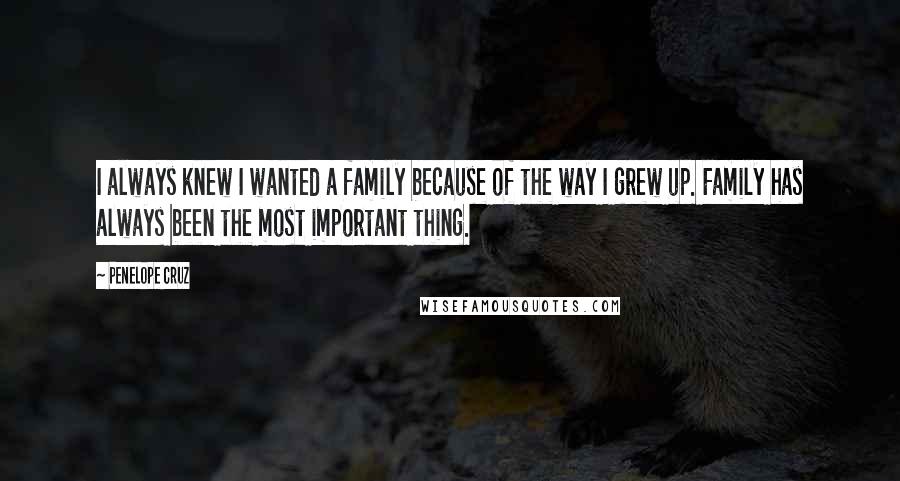 Penelope Cruz Quotes: I always knew I wanted a family because of the way I grew up. Family has always been the most important thing.