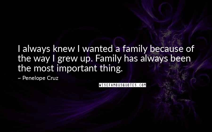 Penelope Cruz Quotes: I always knew I wanted a family because of the way I grew up. Family has always been the most important thing.