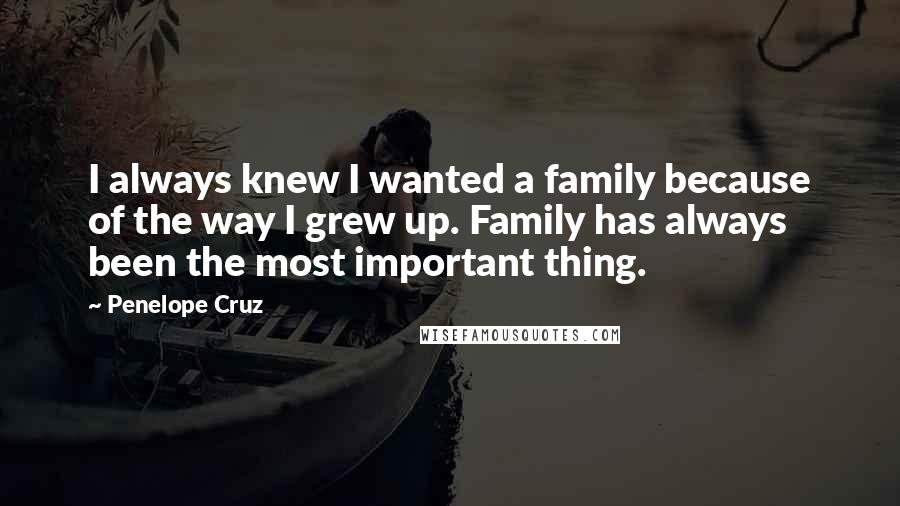 Penelope Cruz Quotes: I always knew I wanted a family because of the way I grew up. Family has always been the most important thing.