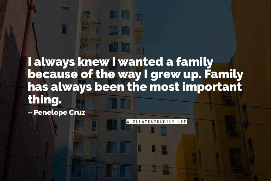 Penelope Cruz Quotes: I always knew I wanted a family because of the way I grew up. Family has always been the most important thing.