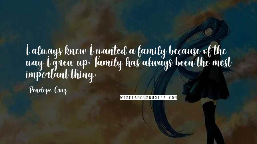 Penelope Cruz Quotes: I always knew I wanted a family because of the way I grew up. Family has always been the most important thing.