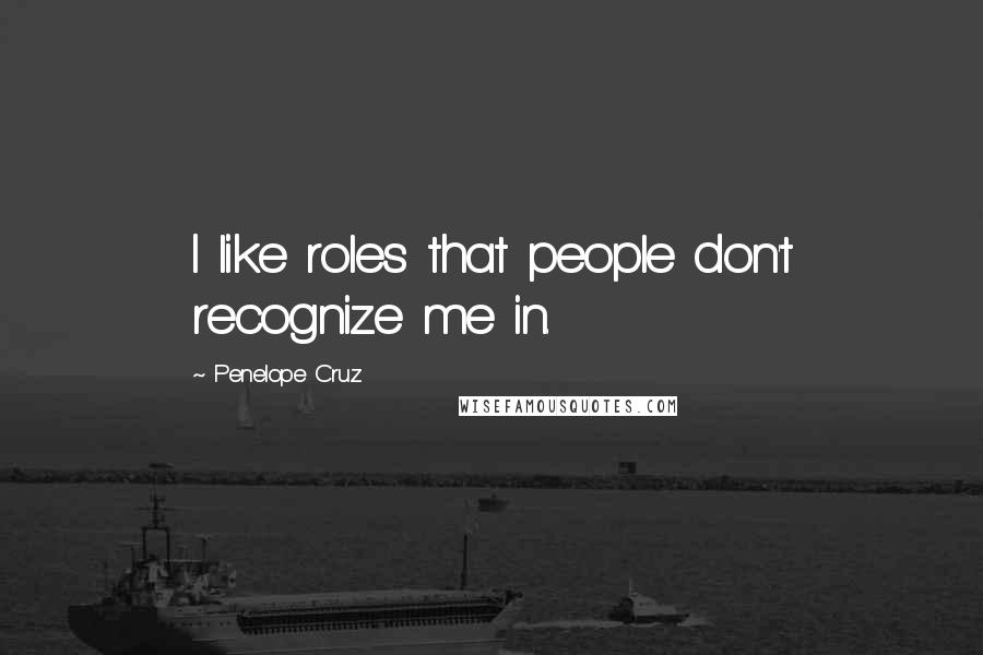 Penelope Cruz Quotes: I like roles that people don't recognize me in.