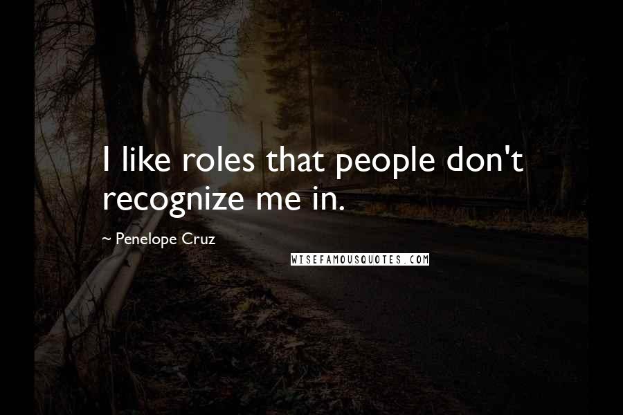 Penelope Cruz Quotes: I like roles that people don't recognize me in.