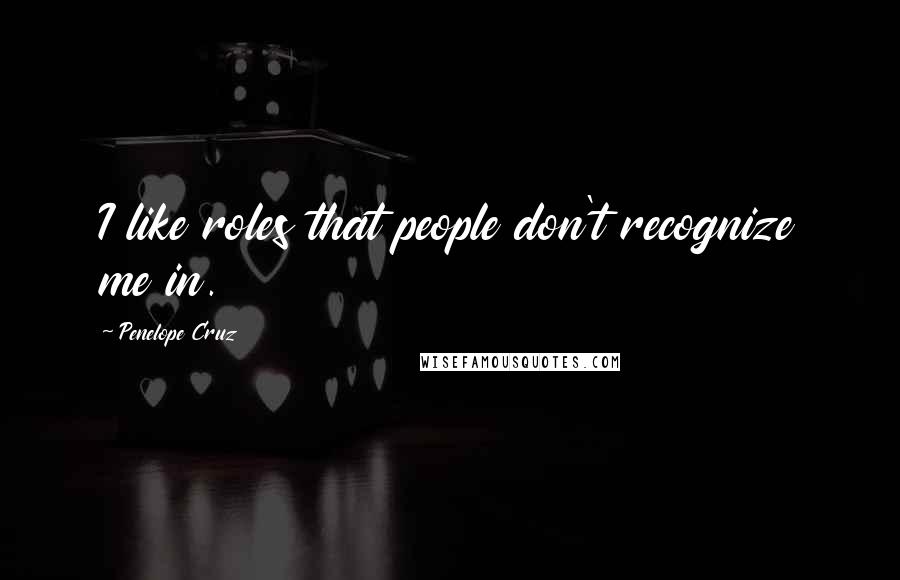 Penelope Cruz Quotes: I like roles that people don't recognize me in.