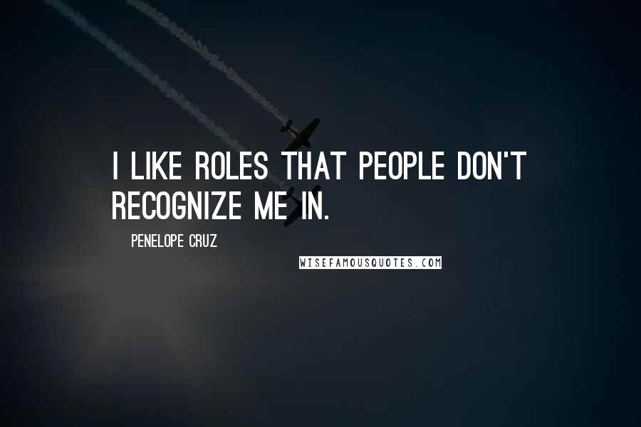 Penelope Cruz Quotes: I like roles that people don't recognize me in.