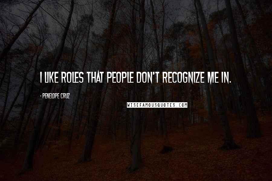 Penelope Cruz Quotes: I like roles that people don't recognize me in.