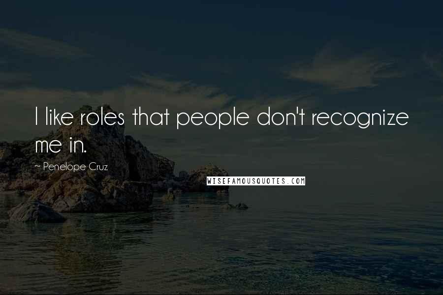 Penelope Cruz Quotes: I like roles that people don't recognize me in.