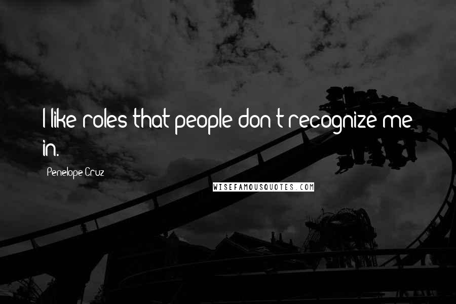 Penelope Cruz Quotes: I like roles that people don't recognize me in.