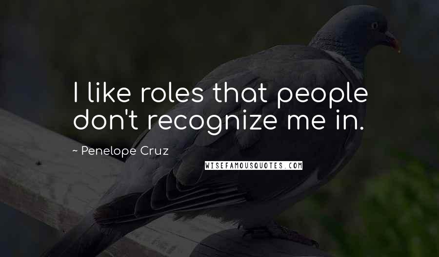 Penelope Cruz Quotes: I like roles that people don't recognize me in.