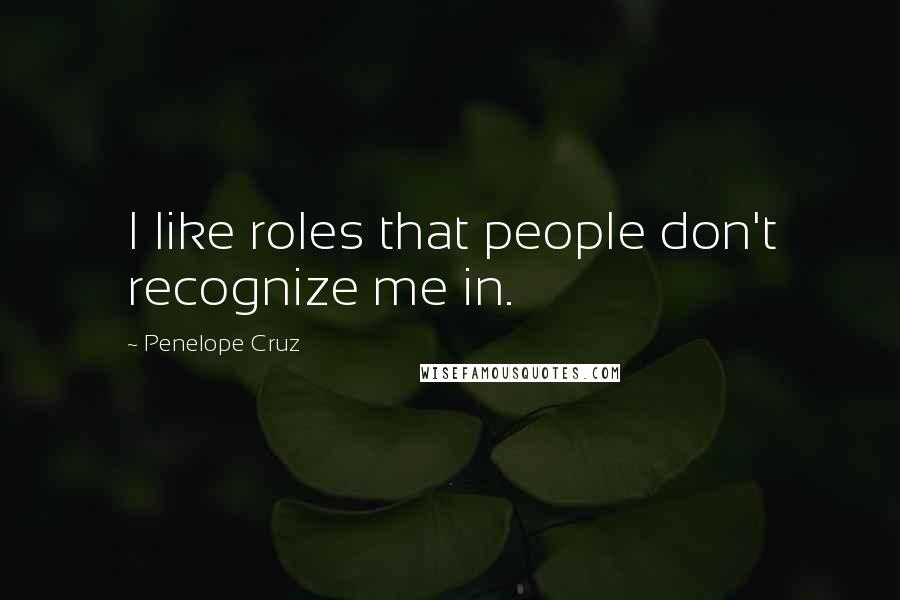 Penelope Cruz Quotes: I like roles that people don't recognize me in.