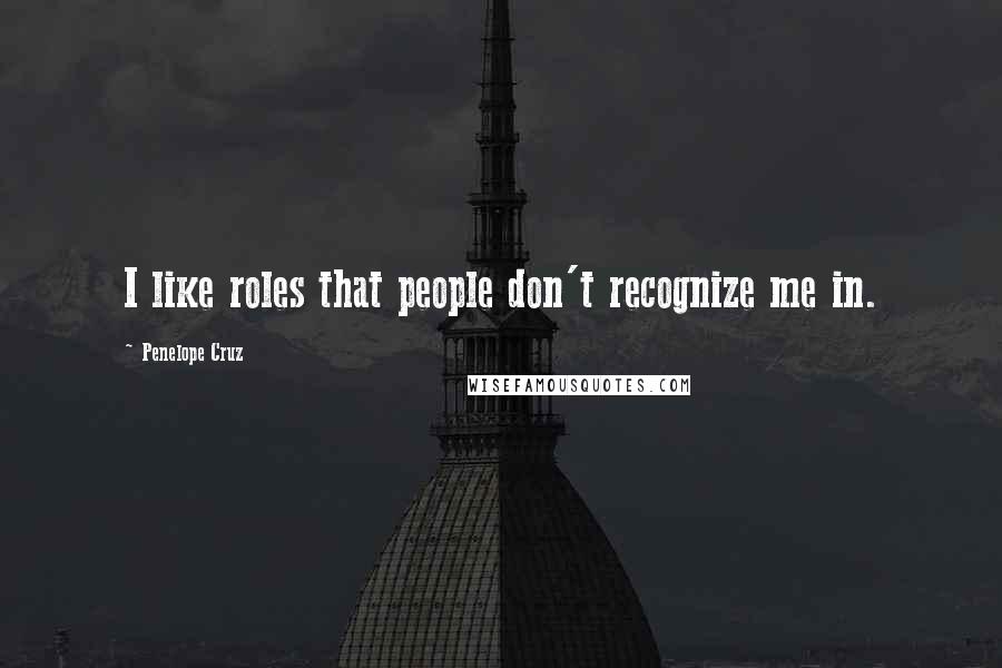 Penelope Cruz Quotes: I like roles that people don't recognize me in.