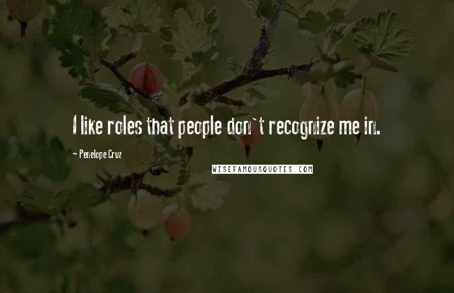 Penelope Cruz Quotes: I like roles that people don't recognize me in.