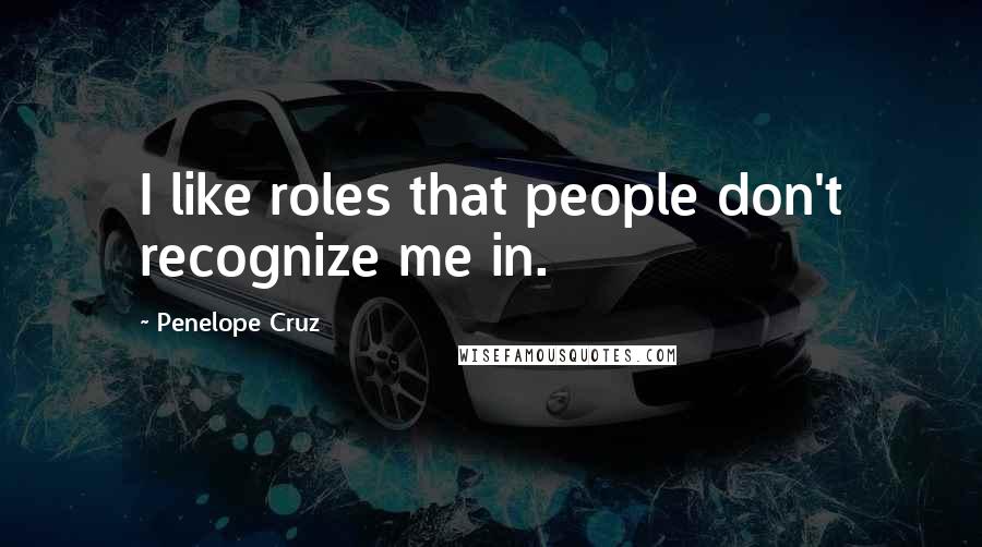 Penelope Cruz Quotes: I like roles that people don't recognize me in.