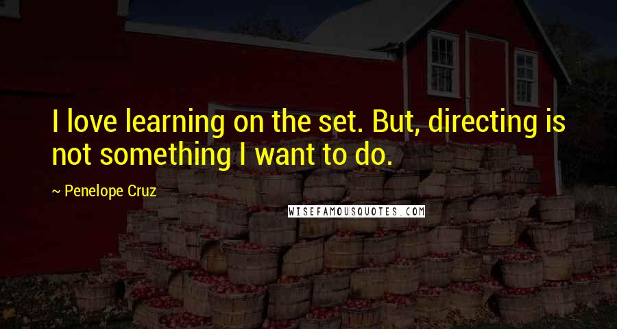 Penelope Cruz Quotes: I love learning on the set. But, directing is not something I want to do.