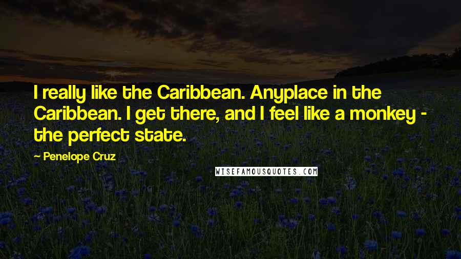 Penelope Cruz Quotes: I really like the Caribbean. Anyplace in the Caribbean. I get there, and I feel like a monkey - the perfect state.