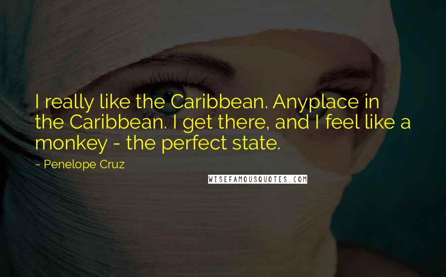 Penelope Cruz Quotes: I really like the Caribbean. Anyplace in the Caribbean. I get there, and I feel like a monkey - the perfect state.