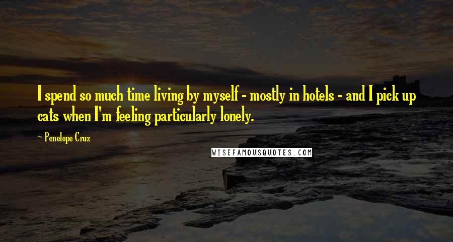 Penelope Cruz Quotes: I spend so much time living by myself - mostly in hotels - and I pick up cats when I'm feeling particularly lonely.
