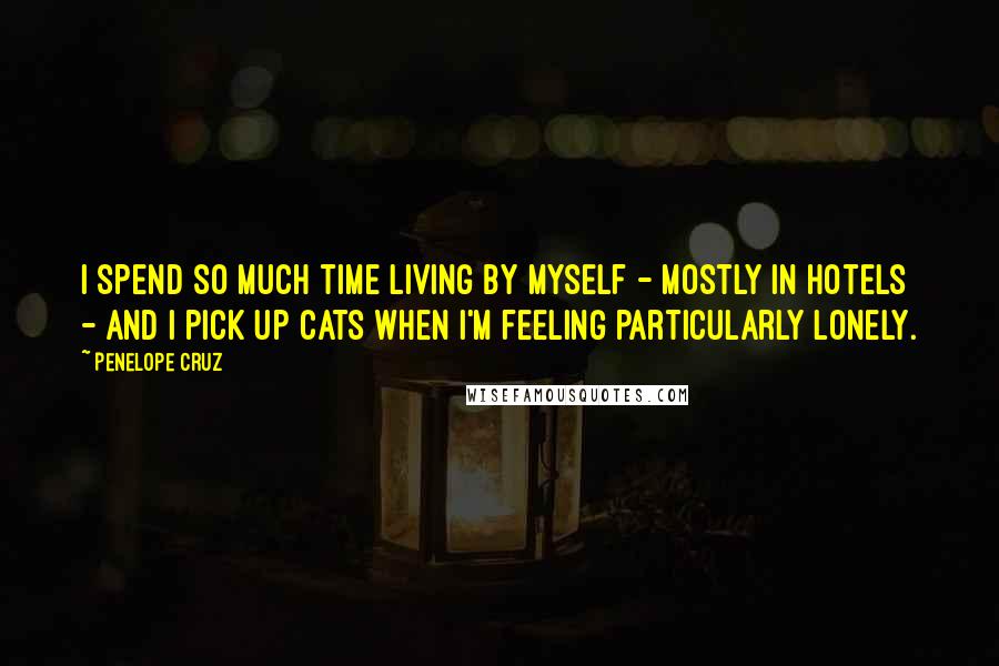Penelope Cruz Quotes: I spend so much time living by myself - mostly in hotels - and I pick up cats when I'm feeling particularly lonely.